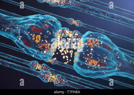 La transmission synaptique, les récepteurs du système nerveux central. Concept de la conscience. Les synapses du cerveau. Synapse Transmission, impulsions dans le cerveau, le transfert de l'information Banque D'Images