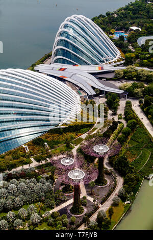 Le dôme de fleurs, forêt de nuage et d'argent au jardin Les jardins de la baie, à Singapour, en Asie du sud-est Banque D'Images