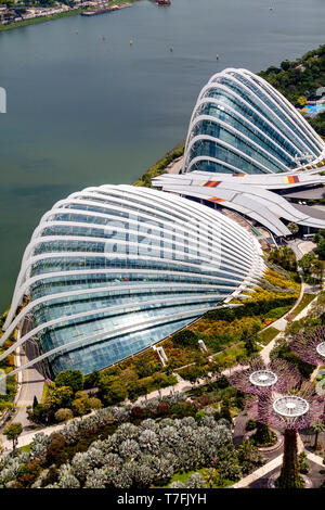 Le dôme de fleurs, forêt de nuage et d'argent au jardin Les jardins de la baie, à Singapour, en Asie du sud-est Banque D'Images