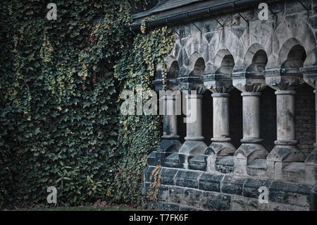 Branches vertes et les feuilles de lierre qui couvre le mur étape par étape conquérir la pierre ancienne colonnade Banque D'Images