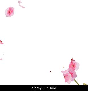 Pelargonium rose fleurs vector illustration. Jardin ou la décoration d'intérieur Illustration de Vecteur