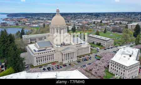 Perspective aérienne sur les cerisiers en fleurs du printemps à l'État de Washington, la formation de capital à Olympie Banque D'Images