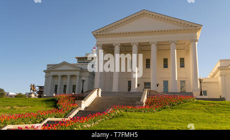 Les tulipes fleurissent en plein soleil à la formation de capital à Richmond Banque D'Images