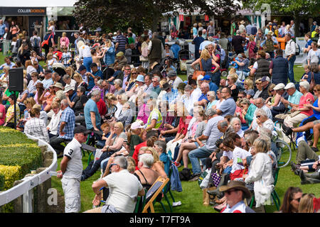 Grande foule de gens spectateur, rassemblées autour d'arène principale se détendre, assis au soleil, regarder des événement - grand show du Yorkshire, Harrogate, England, UK. Banque D'Images