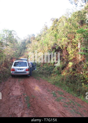 Safari en Jeep à travers une jungle dense sur les routes de terre au Parc National Parc Mantadia- Andasibe (Périnet), Madagascar. Banque D'Images