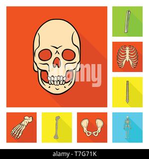 Crâne,fémur,nervure, colonne vertébrale, hanche,pieds,l'appareil locomoteur,la mort,la cheville,chiropratique,cage osseuse,mixte,,scientifique,l'enfer,le calcium,dommage,joints,mouvement,sain,chirurgie,les dents,health,pieds nus,fibre,monster,jambe,xray,os,base,,squelette humain,anatomie organes,médical,médecine,clinique,biologie,,set,icône,,illustration,collection,isolé,design,graphisme,élément signe,télévision,ombre,vecteurs vecteur , Illustration de Vecteur