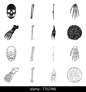 Crâne,fémur genou,poignet,pieds,fibres,mort,,joints,vente,cheville,osseuses,sain,monster,jambe,ménisque,calcium,scientifique,mal,le corps,la structure de la podologie,horreur,muscle tibia,bras,avant-pied,épithélium,tatouage,,péroné,carpe,panneaux,médecine, biologie médicale,clinique,os,squelette,anatomie,des,organes,,set,icône,,illustration,collection,isolé,design,graphisme,élément vecteur vecteurs,signer , Illustration de Vecteur