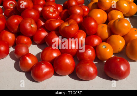 Close up de tomates pour la vente au marché, Manhattan, New York City, New York, États-Unis d'Amérique Banque D'Images