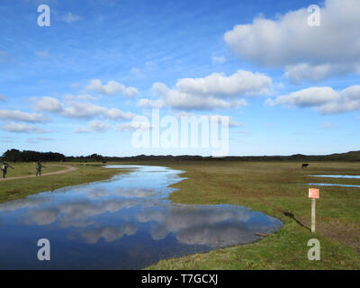 Les observateurs d'une promenade sur un chemin dans "De Nederlanden" sur l''île de Texel en Hollande (Pays-Bas). Les gens marcher dans une zone nature Banque D'Images