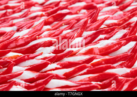 Piments farcis de pâte de poisson. Communément connu sous le nom de Yong Foo Tau en Malaisie. Banque D'Images