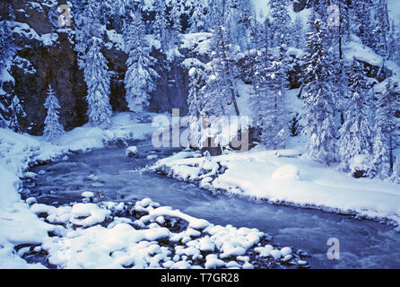 USA. Le Wyoming. Le Parc National de Yellowstone. Forêt hiver neige scène avec ruisseau. Banque D'Images