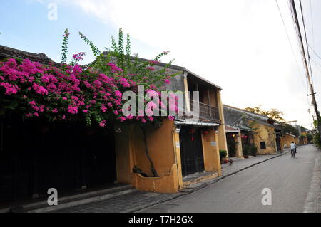Matin dans l'ancienne ville de Hoi An - paisible, frais Banque D'Images