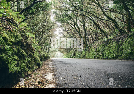 Scenic Road dans le Macizo de Anaga Réserve de biosphère de l'UNESCO, Tenerife, Espagne. Banque D'Images