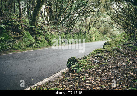 Scenic Road dans le Macizo de Anaga Réserve de biosphère de l'UNESCO, Tenerife, Espagne. Banque D'Images