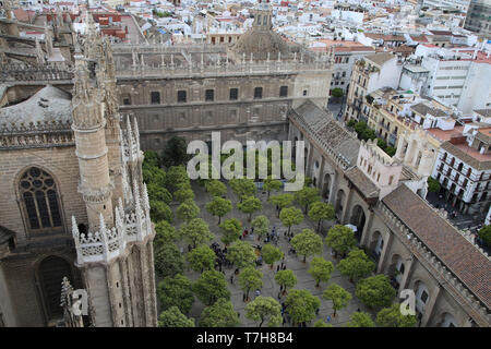 L'Espagne. L'Andalousie. Séville. Grande Mosquée. L'Oranger cour intérieure. 12e siècle. La Cathédrale de Séville. Banque D'Images