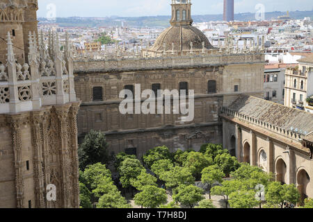 L'Espagne. L'Andalousie. Séville. Grande Mosquée. L'Oranger cour intérieure. 12e siècle. La Cathédrale de Séville. Banque D'Images