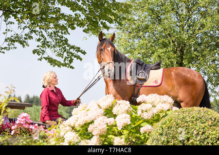 Cheval de Sport ibérique. Andrea Jaenisch assis dans le jardin du goujon Weng, holding bay horse sur le rein. Amerang, Bavière, Allemagne Banque D'Images