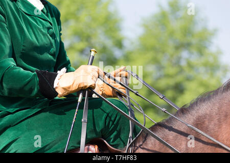 Pura Raza Espanola, andalou. Rider avec costume et sidesaddle montrant de manière correcte de tenir les rênes. La Suisse Banque D'Images