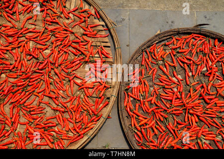 Beaucoup de piment rouge dans des paniers au soleil sur le marché Banque D'Images
