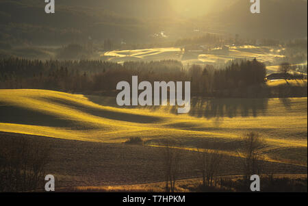 De beaux paysages à l'extérieur de Trondheim en zone rurale de Bratsberg. Les arbres, les collines et les villages. Accueil chaleureux, Basse lumière du lever et de l'air brumeux. La Norvège Banque D'Images