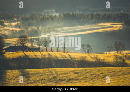 De beaux paysages à l'extérieur de Trondheim en zone rurale de Bratsberg. Les arbres, les collines et les villages. Accueil chaleureux, Basse lumière du lever et de l'air brumeux. La Norvège Banque D'Images