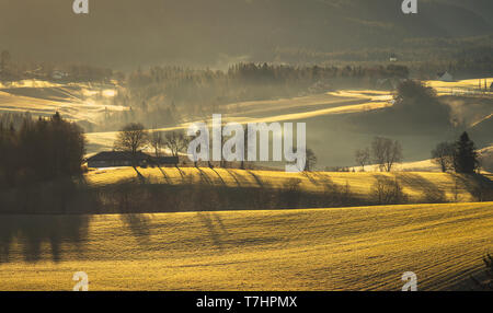 De beaux paysages à l'extérieur de Trondheim en zone rurale de Bratsberg. Les arbres, les collines et les villages. Accueil chaleureux, Basse lumière du lever et de l'air brumeux. La Norvège Banque D'Images