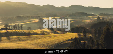 De beaux paysages à l'extérieur de Trondheim en zone rurale de Bratsberg. Les arbres, les collines et les villages. Accueil chaleureux, Basse lumière du lever et de l'air brumeux. La Norvège Banque D'Images