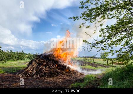 Grand feu de ruraux dans la campagne près de brûler la nature sur un beau jour de printemps Banque D'Images