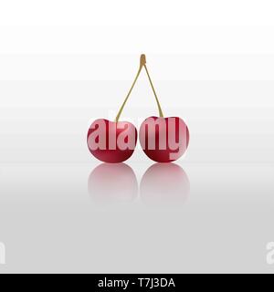 Cherry Blossom isolés d'arrière-plan blanc frais Fruits Aliments sweet vecteur réaliste Illustration de Vecteur