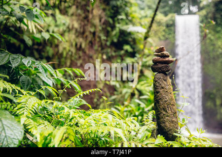 Voir à Tibumana cascade à Bali, Indonésie Banque D'Images