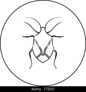 Punaise punaise vrai bug bugs Hemipterans icône d'insectes ravageurs en cercle noir contour vector illustration couleur style plat simple image Illustration de Vecteur