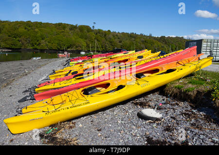 Rangées de kayaks tiré sur une plage de galets après un jours de canotage Banque D'Images