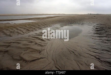 De Slufter sur Texel, Pays-Bas Banque D'Images