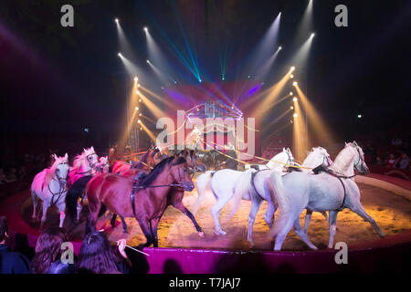 Biasini-Berousek interprète Sara debout sur deux chevaux frison pendant un spectacle de cirque à Louis Knie jun. Banque D'Images