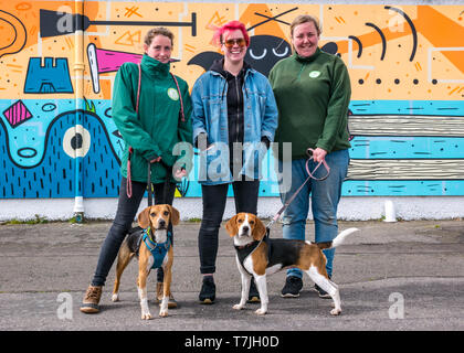 Dog & Cat Home Édimbourg dévoilement murale : Katie, artiste au Studio N Nom et beagles avec les membres du personnel, la promenade de Seafield, Édimbourg, Écosse, Royaume-Uni Banque D'Images