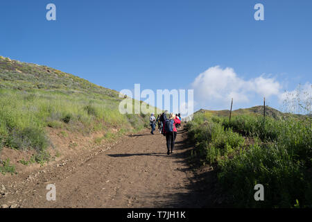 Lake Elsinore, Californie - le 22 mars 2019 : les touristes et randonneurs à pied le long du sentier du Canyon Walker au cours de la fleur de pavot superbloom Banque D'Images