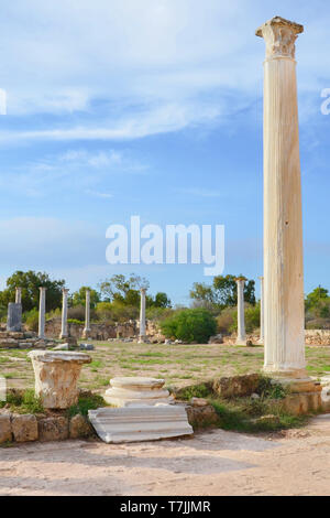 Ruines spectaculaires de l'ancienne ville grecque Salamine pris avec ciel bleu au-dessus. Les colonnes antiques faisaient partie de Salamine Gymnasium de Chypre. Banque D'Images