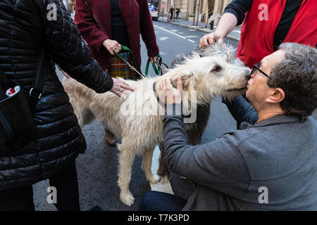 2019 New York Défilé du Jour du tartan sur la 6e Avenue, mettant en vedette : Atmosphère Où : New York City, New York, United States Quand : 06 Avr 2019 Crédit : Stefan Jérémie/WENN.com Banque D'Images