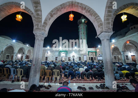 Gaza, la Palestine. 7e mai 2019.- Les musulmans vu prendre part aux prières tarawih pendant le Ramadan.fidèles musulmans palestiniens assistent à la prière de la nuit connu comme 'le taraweeh' à la mosquée de M. Hashim le deuxième jour des musulmans mois saint du Ramadan, dans la ville de Gaza. Les musulmans du monde entier célèbrent le mois sacré du Ramadan en priant pendant la nuit, et s'abstenir de manger et boire au cours de la période entre le lever et le coucher du soleil. Credit : Mohamed Zarandah SOPA/Images/ZUMA/Alamy Fil Live News Banque D'Images
