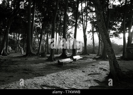 Forêt, banc et abris à Radhanagar beach de Havelock Island, îles Andaman et Nicobar Banque D'Images