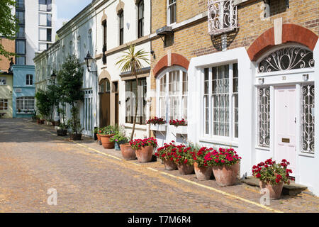 Les pots de fleurs à l'extérieur des maisons dans Ennismore Gardens Mews, South Kensington, Kensington & Chelsea, London. L'Angleterre Banque D'Images