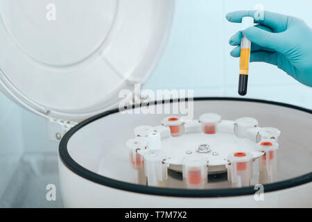 Des échantillons de sang dans des flacons sur une machine centrifuge close-up. L'Hématologie Banque D'Images