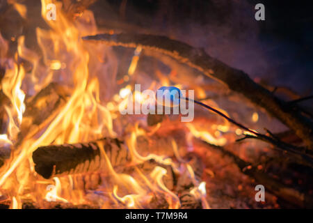 Faire griller un marshmallow sur un bâton au-dessus d'un foyer de nuit à l'extérieur. L'activité de camping dans la nature, de détente avec des amis Banque D'Images