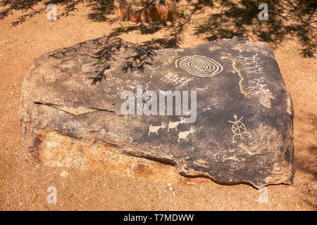 Hohokham Amérindien pétroglyphes sur l'affichage à l'Tohono Chul Park de Tucson AZ Banque D'Images