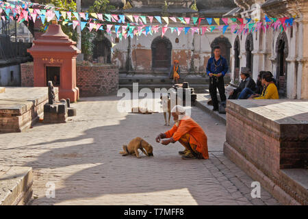 Un saint homme hindou (sadhu) alimente un chien dans la cour d'un temple de Pashupatinath, au complexe de la Vallée de Kathmandu, Népal Banque D'Images