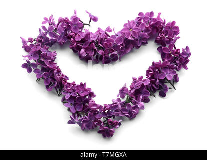 Coeur en blossoming lilac sur fond blanc Banque D'Images