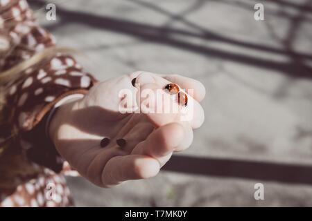 Printemps - une petite fille tient dans la paume de coccinelles Banque D'Images