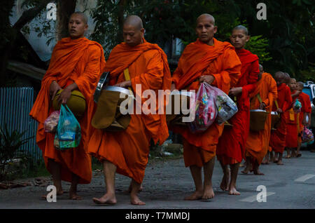 Au cours de la moines Tak Bat, la cérémonie du matin où les gens offrent la nourriture aux moines, Luang Prabang, Laos Banque D'Images