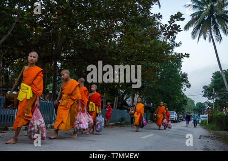 Au cours de la moines Tak Bat, la cérémonie du matin où les gens offrent la nourriture aux moines, Luang Prabang, Laos Banque D'Images