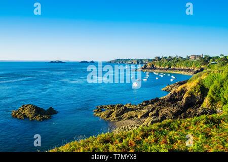 France, Ille-et-Vilaine, Côte d'Emeraude, Cancale, panorama de la Pointe du Grouin Banque D'Images